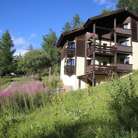 לז אור Chalet Les Arolles מראה חיצוני תמונה